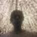 Rogerio Arcanjo