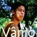vanio gatinho