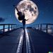 foto de Angel_moon_musik
