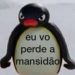 foto de Lais Coelho