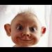 evandro5481