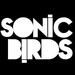 Sonicbirds Band