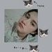 Florencia saravia