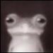 caiiox _san