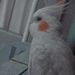 foto de Rebs Rs