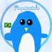 foto de PINGUIMZINHO
