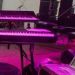 Atair kamargo compositor
