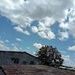 Pedrin _557