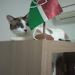 foto de Hugo Duncan