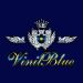 Vinil Blue