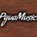 PguaMusic