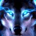 WOLF_MAN2848