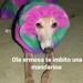 foto de Tobias Flores
