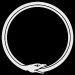 Chaos Ouroboros