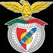 foto de António Moreira