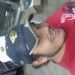 UpSky