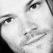 Team Winchester Brasil
