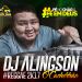 DJ Alingson Designer o Cachorrão