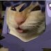 foto de Chels gc