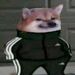 foto de Cheems39