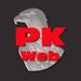 P. K. Web Agência