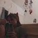 Emilia jewsbury
