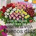 foto de rousanna lopez