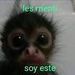 foto de soy camara