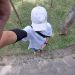 jocas