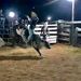 Guilherme Povoa