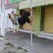 Gustavo Alves Pimenta