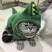 Gatosaurus uwu