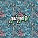 Gabigol Tv