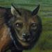 AndrewSarchus