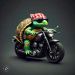 tortuguns Corbalan
