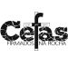 Comunidade Cefas/Firmados Na Rocha