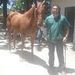 foto de Joel Neto