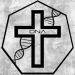 Dna Da Cruz