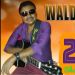 Waldir show