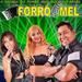 banda Forró com Mel