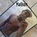 Mailson Maikel