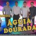 BANDA AGUIA DOURADA