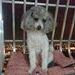 foto de Claudia Freire