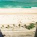 foto de Willian Gomes