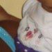 tainara  sacramento  santos