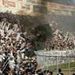foto de Guilherme Alves