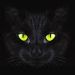 foto de TheBlackCat BRASIL
