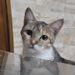 foto de Suane