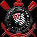 adalton bernardes