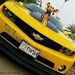 foto de Moabe Alves